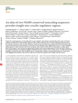 An atlas of over 90000 conserved noncoding sequences