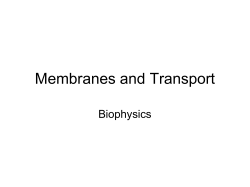 Membranes and Transport Slides
