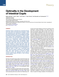 Optimality in the Development of Intestinal Crypts