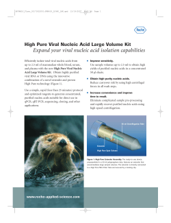 High Pure Viral Nucleic Acid Large Volume Kit