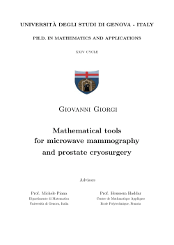 Giovanni Giorgi Mathematical tools for microwave mammography