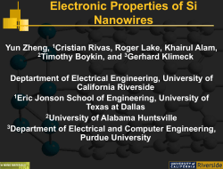 Simulation of Self-Synthesized and Functionalized Devices (Theme 3)
