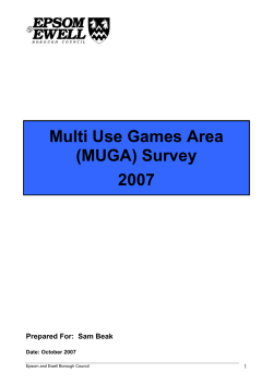 Multi Use Games Area (MUGA) Survey 2007