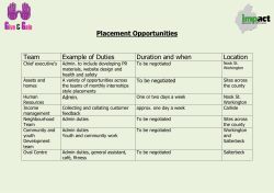 Placement Opportunities Team Example of Duties