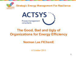 The Good, Bad and Ugly of Organizations for Energy Efficiency