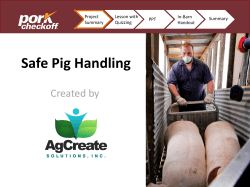 Safe Pig Handling End Product…