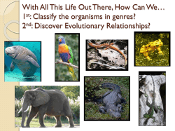 Plant Dichotomous Key