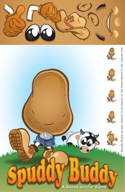 Game Board - The Great Frederick Fair