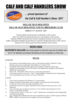 calf and calf handlers show