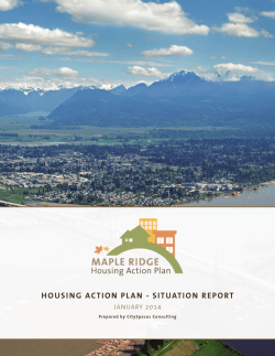 housing action plan - situation report