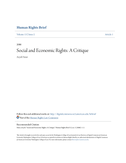 Social and Economic Rights: A Critique
