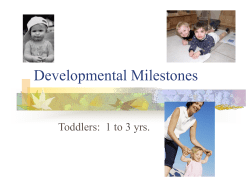 Developmental Milestones
