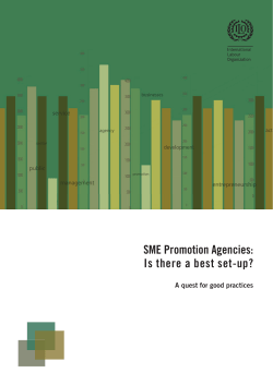 SME Promotion Agencies: Is there a best set-up?