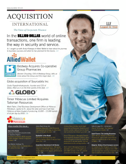 In the BILLION-DOLLAR world of online transactions, one firm is