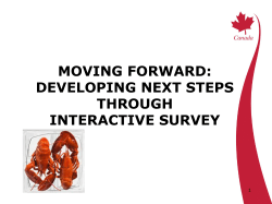 Moving Forward: Developing Next Steps Through