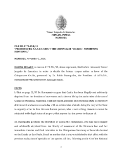 Cecilia the chimpanzee - Nonhuman Rights Project