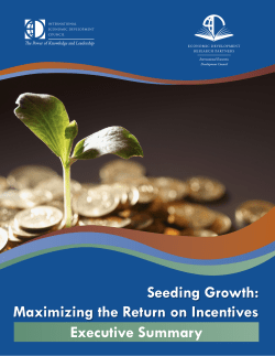Maximizing the Return on Incentives Executive Summary