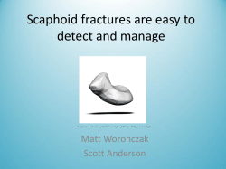 Scaphoid Fractures - Matt`s Training Resources &ndash; nothin` but a peanut