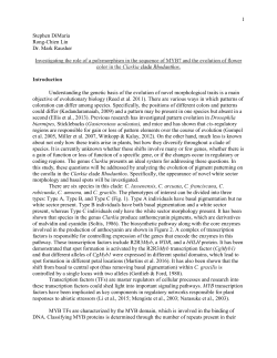 On the other hand, much less is known about not only