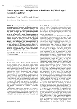 Diverse agents act at multiple levels to inhibit the Rel/NF-kB