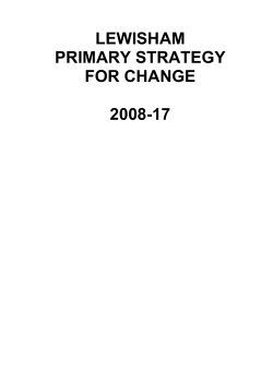 Primary Strategy for Change