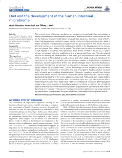 Diet and the development of the human intestinal