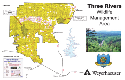 Three Rivers Wildlife Management Area