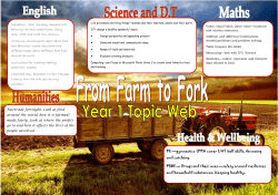 PE&mdash;gymnastics (PPA cover LW) ball skills, throwing and catching