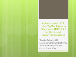 Optimization of RT-PCR Using TaqMan Probes to Differentiate HTLV