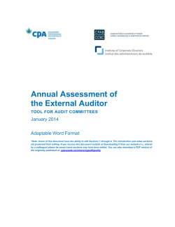 3. Assess areas for the audit committee to consider