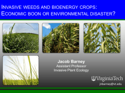 INVASIVE WEEDS AND BIOENERGY CROPS ECONOMIC BOON