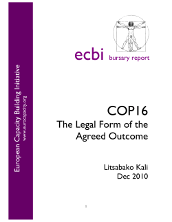 The Legal Form of the Agreed Outcome