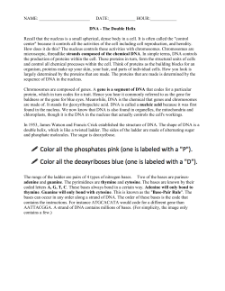 DNA Worksheet student