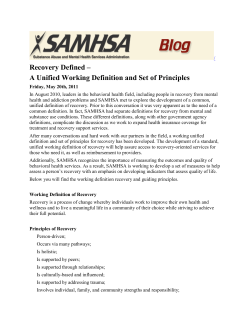 Recovery Defined &ndash; A Unified Working Definition and Set of Principles