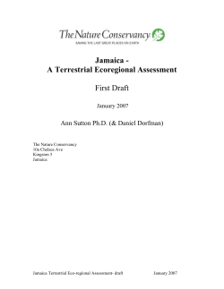 Jamaica - A Terrestrial Ecoregional Assessment