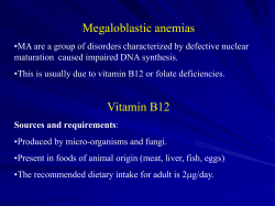 Megalaoblastic anemia (B12)mod