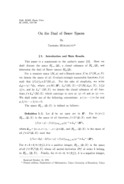 On the Dual of Besov Spaces