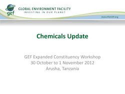 Presentation - Chemicals Strategy