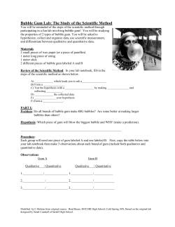 Scientific Method Bubble Gum Lab