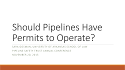Cost-Benefit Analysis and Pipeline Risk