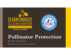 Pollinator Protection