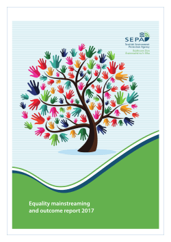 Equality mainstreaming and outcome progress report 2017