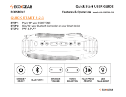 GDI-EGST700 EcoStone Manual