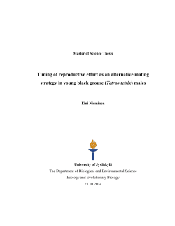 Timing of reproductive effort as an alternative mating strategy in