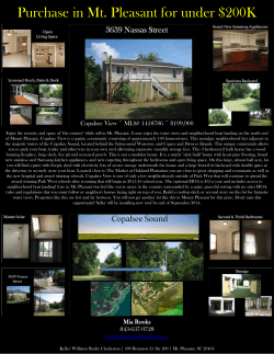 Purchase in Mt. Pleasant for under $200K