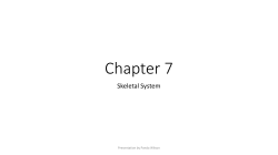 Chapter 7