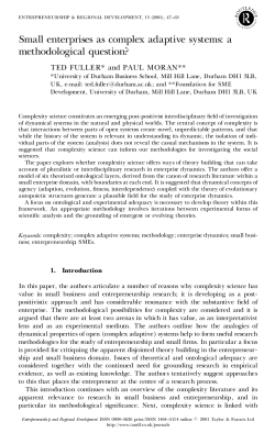 Small enterprises as complex adaptive systems