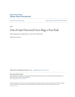 Out-of-state Firewood Gives Bugs a Free Ride