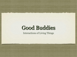 Good Buddies