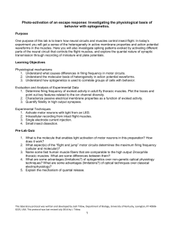Student protocol - Faculty for Undergraduate Neuroscience